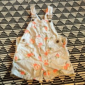 OshKosh B'gosh blue and Pink Overalls for Playful Days